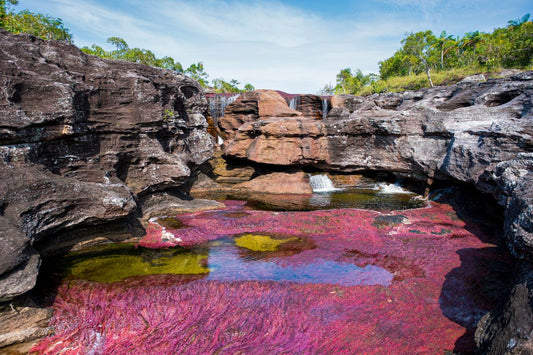 Moda inspirada en Caño Cristales: naturaleza viva en cada prenda